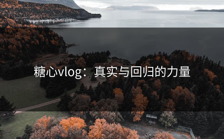 糖心vlog：真实与回归的力量