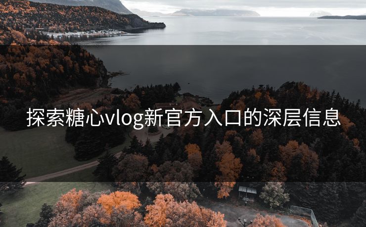 探索糖心vlog新官方入口的深层信息