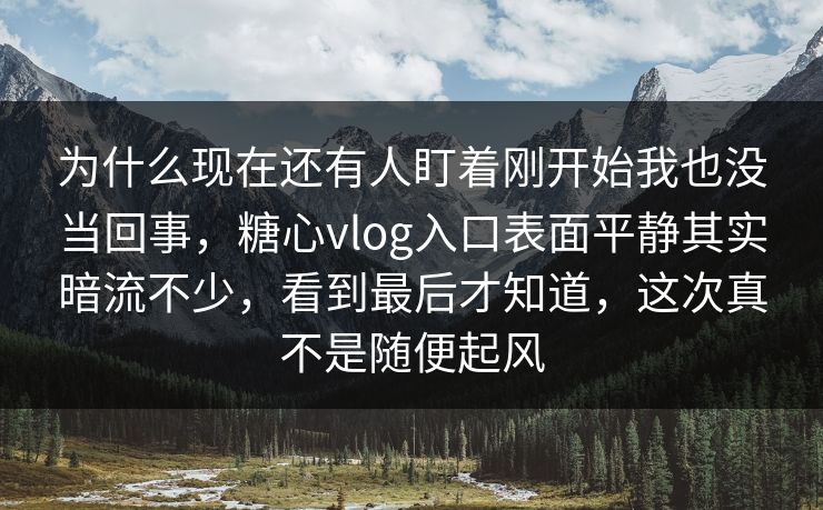 为什么现在还有人盯着刚开始我也没当回事，糖心vlog入口表面平静其实暗流不少，看到最后才知道，这次真不是随便起风