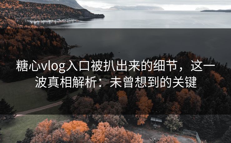 糖心vlog入口被扒出来的细节,这一波真相解析:未曾想到的关键 糖心vlog入口被扒出来的细节,这一波真相解析:未曾想到的关键